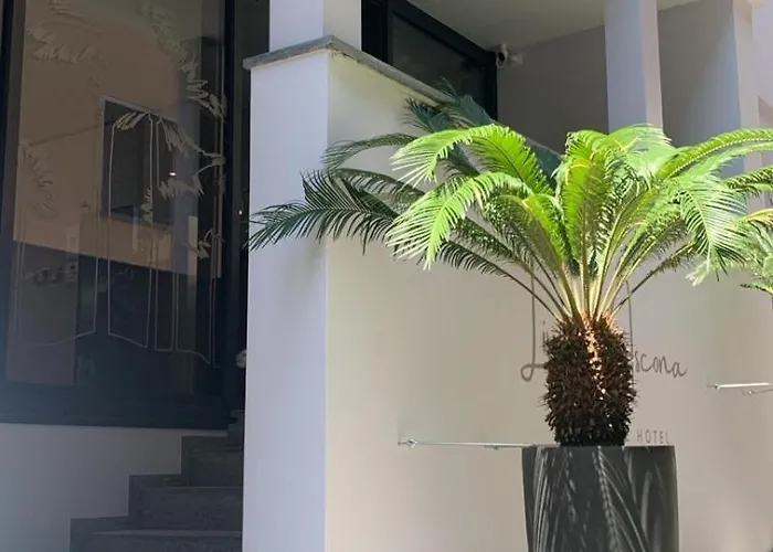 Alojamento de Acomodação e Pequeno-almoço Living Boutique 3*